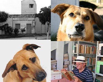 Vira Lata Cultural -pq